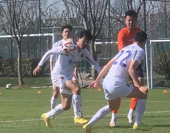 国内精品免费久久久久妲己