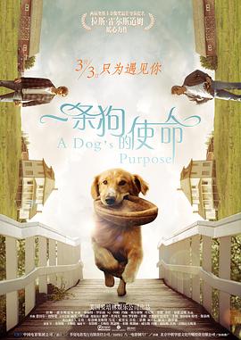 恋爱约会会所