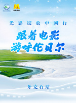 特级一级毛片