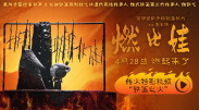 午夜视频在线免费看