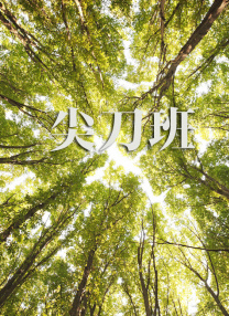 任飞
