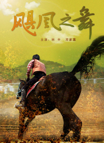 丰丝韵母