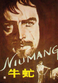 小马宝莉动画片中文版