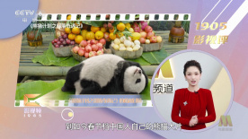 国产精品第一第二
